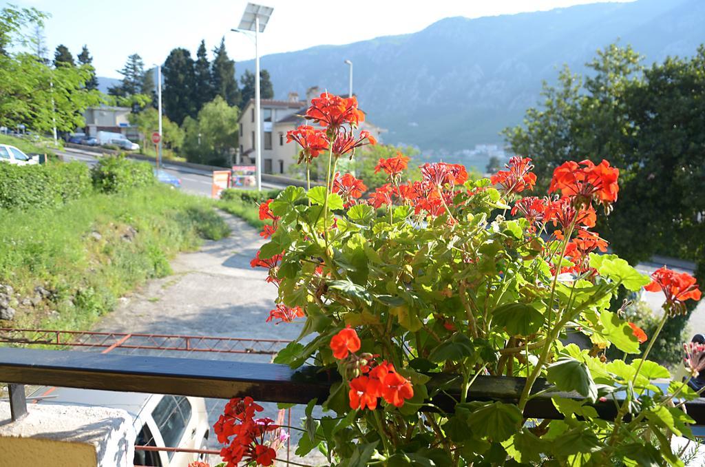 Apartment Luka Kotor Exterior photo